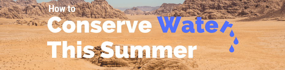 how to conserve water this summer