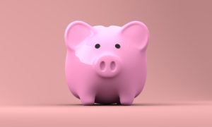 front view of a pink piggy bank