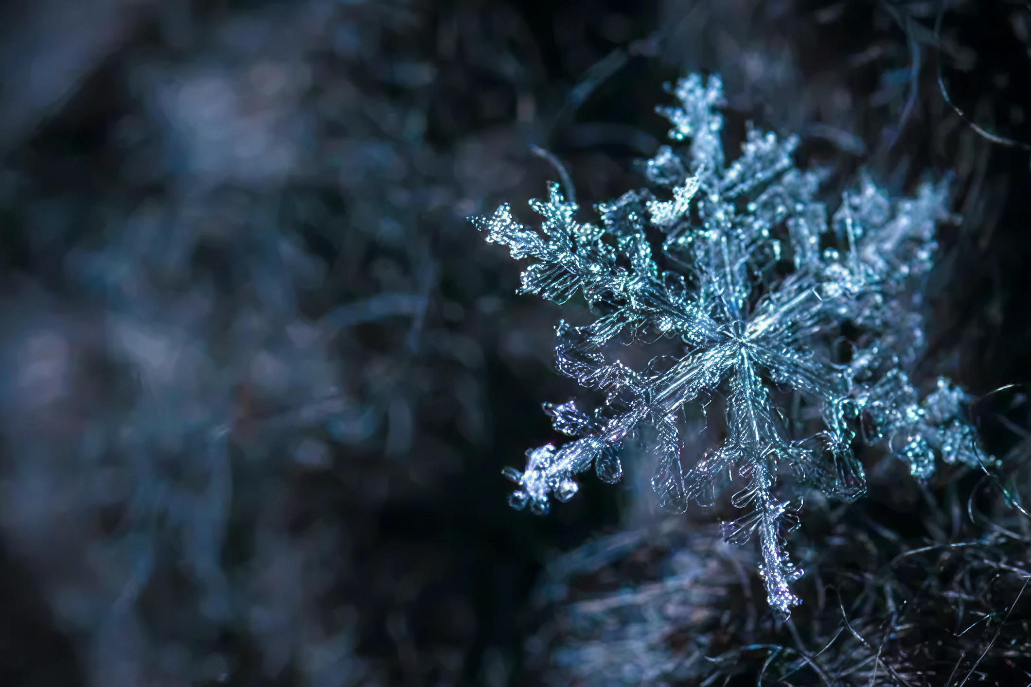 Preparing-Your-Home-for-Extreme-Cold