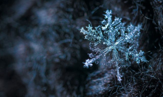 close up image of a frozen snowflake